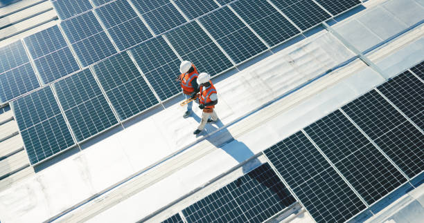 Best Roof Moss and Algae Removal  in Pittsburg, TX