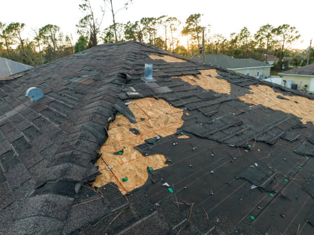 Best Green or Eco-Friendly Roofing Solutions  in Pittsburg, TX