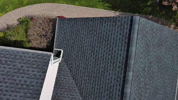 Best Roof Moss and Algae Removal  in Pittsburg, TX