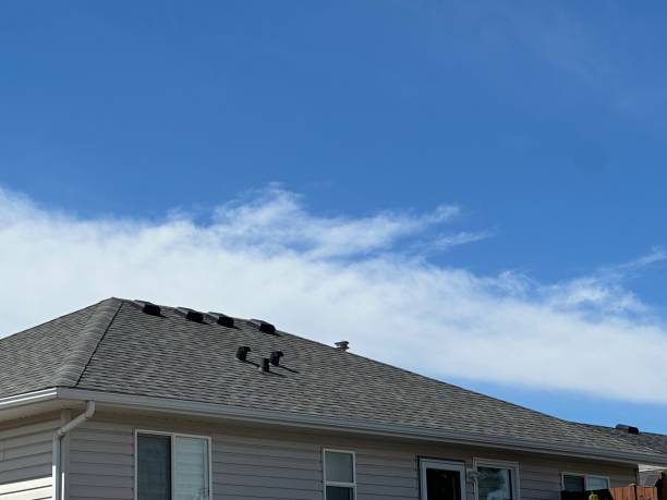 Best Slate Roofing  in Pittsburg, TX